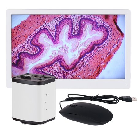 AMSCOPE 1080p 15fps 5MP HDMI Color CMOS C-mount Microscope Camera with Monitor HD1080A-HDM